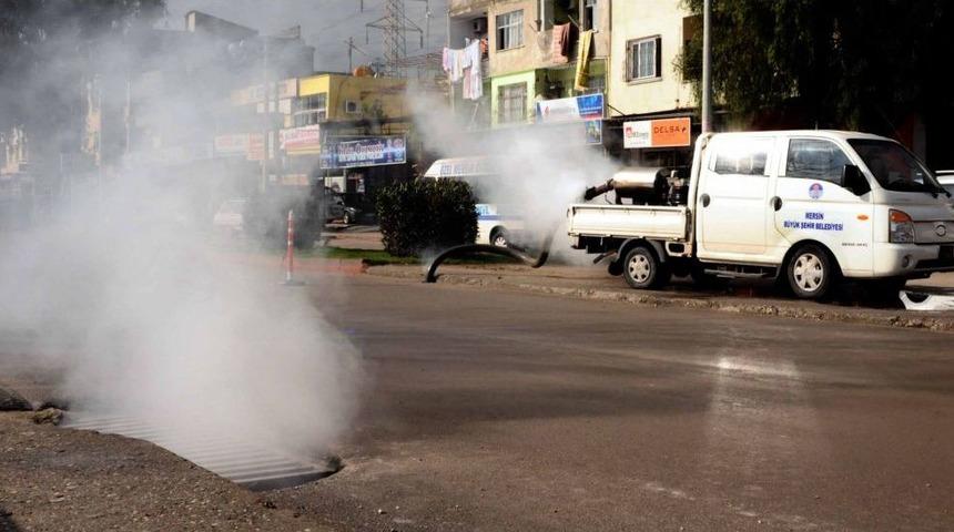 &Ouml;zcan: Sinekle M&uuml;cadelede Başarıya Ulaştık