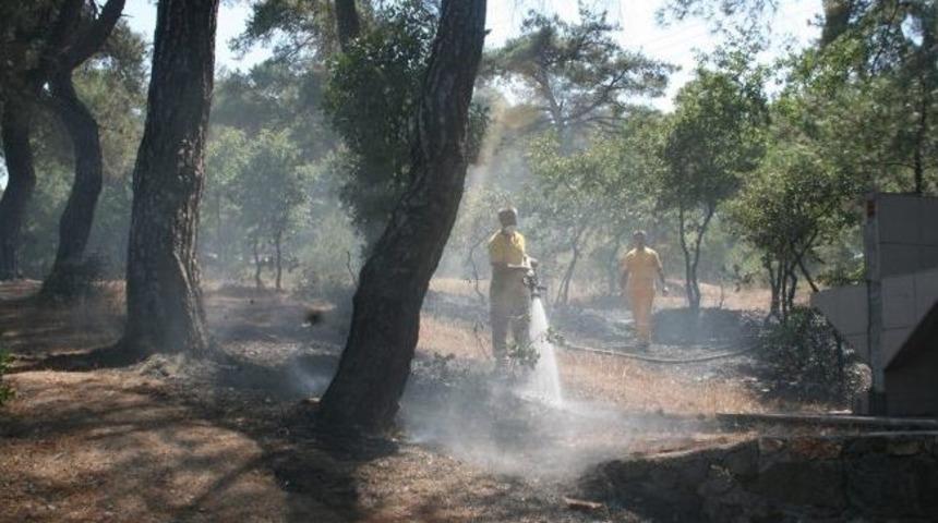 &Ccedil;an&rsquo;da İki Ayrı Noktada Orman Yangını