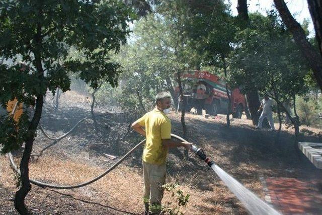 &Ccedil;an&rsquo;da İki Ayrı Noktada Orman Yangını 1