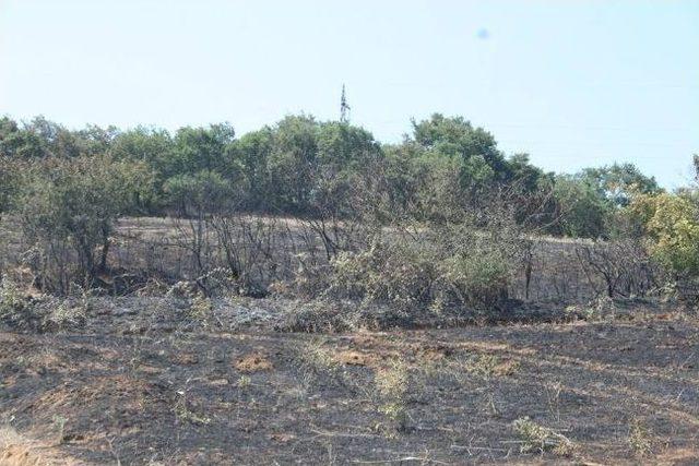 &Ccedil;an&rsquo;da İki Ayrı Noktada Orman Yangını 2