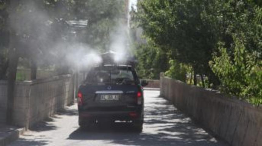 Sel&ccedil;uklu&rsquo;da Haşereyle M&uuml;cadele S&uuml;r&uuml;yor