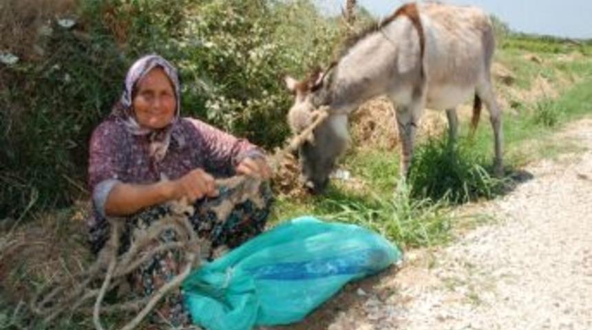 Raife Ninenin Başı Emektar Eşeğiyle Dertte
