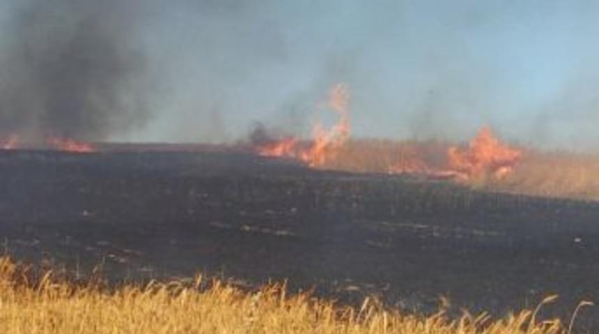 Anız Yakan &Ccedil;ift&ccedil;iye Devlet Desteklerinden Men Cezası