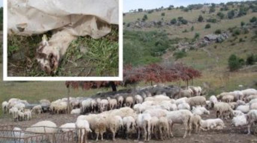 Meşelik k&ouml;y&uuml; halkı isyanda!...