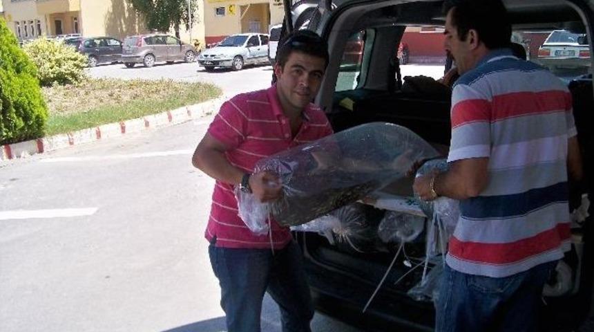 Bolu&rsquo;da G&ouml;llere 139 Bin Balık Bırakıldı