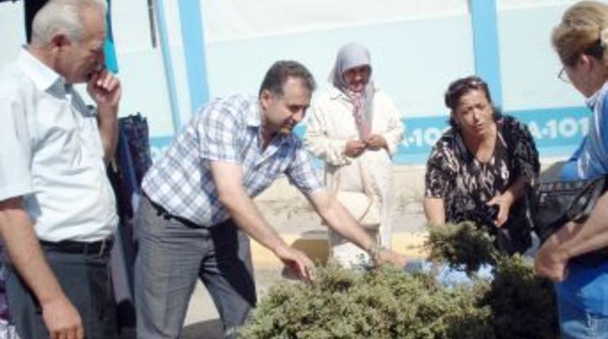 CHP, Kadın Emeğini Değerlendiriyor