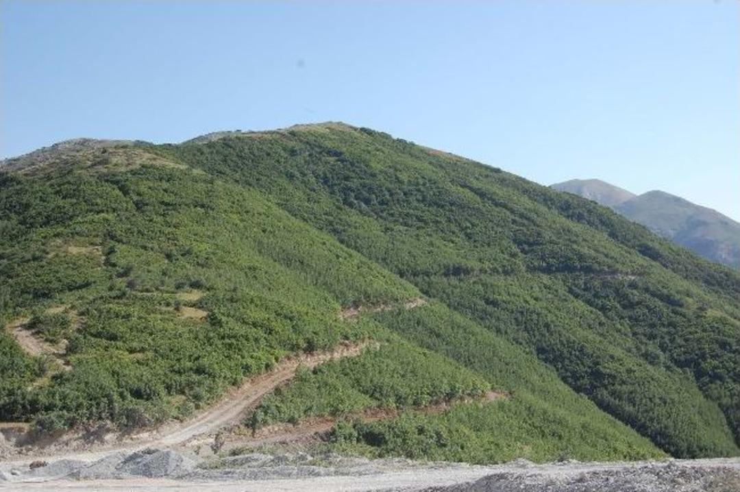 Pkk Bitlis'te 3 Kişiyi Ka&ccedil;ırdı