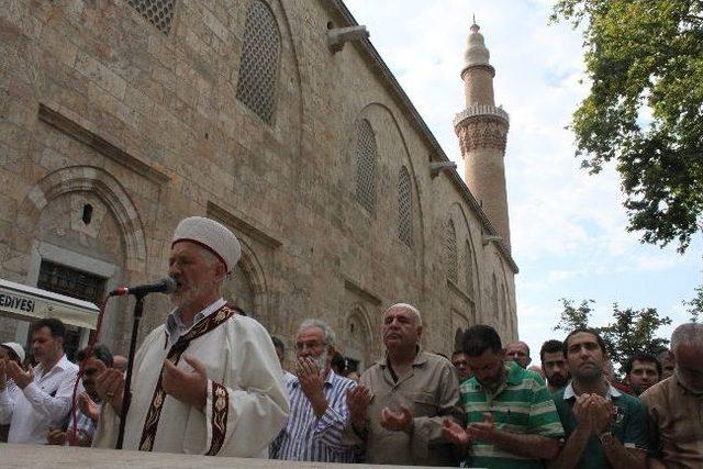 Mısır'da Hayatını Kaybedenler İçin Gıyabi Cenaze Namazı Kıldılar