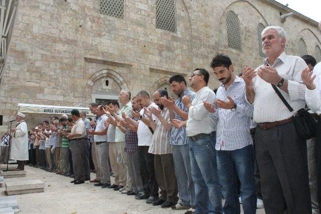 Mısır'da Hayatını Kaybedenler İçin Gıyabi Cenaze Namazı Kıldılar