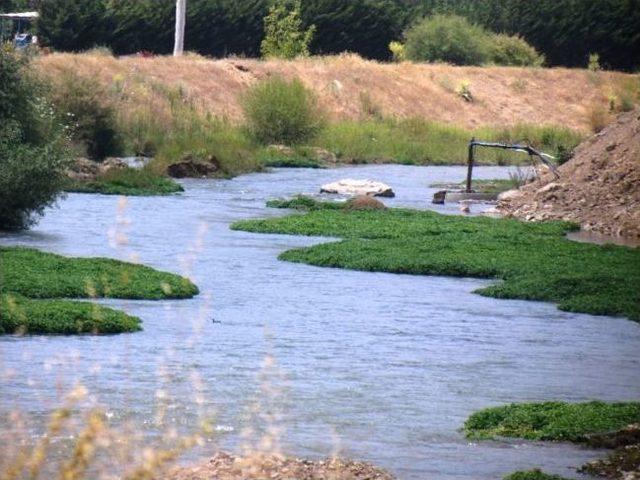 Beydağ Barajı ndan Su Bırakılması 15 Ağustos’a Kadar 1