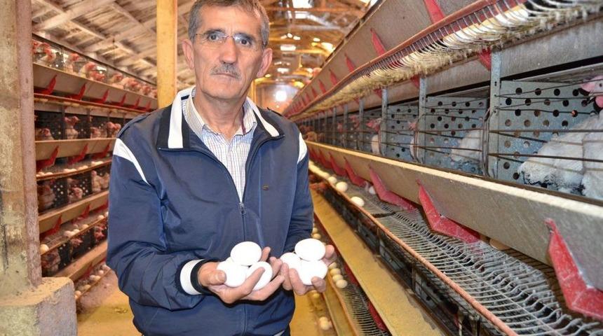 Yumurta &Uuml;reticisi Artan Maliyetlerden Şikayet&ccedil;i