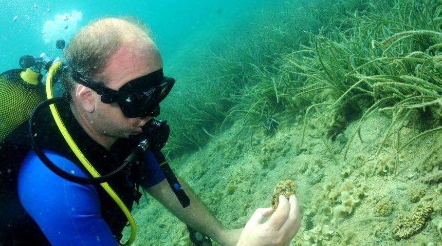 İK&Ccedil;&Uuml; Su &Uuml;r&uuml;nleri Fak&uuml;ltesi Dalgı&ccedil;lık Eğitimi Rekt&ouml;r Akhan Ile Başladı