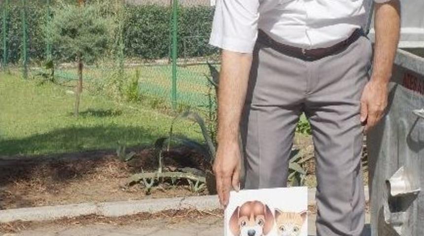 Beldibinde Sokak Hayvanları İ&ccedil;in Suluk