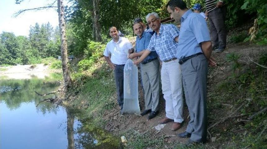 D&uuml;zce&rsquo;de G&ouml;letlere Balık Bırakıldı