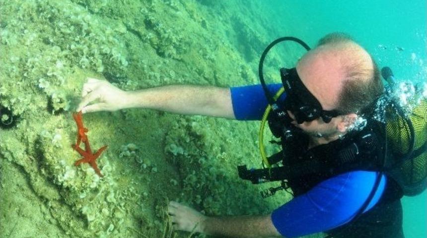 İzmir'de Rekt&ouml;rden Bir İlk...