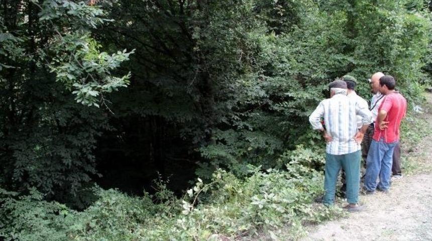 Otomobil U&ccedil;uruma Yuvarlandı: 2 Yaralı