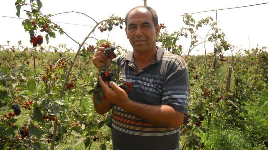 &Ccedil;ukurova'da &Ccedil;ift&ccedil;i Alternatif &Uuml;r&uuml;nlere Y&ouml;neliyor