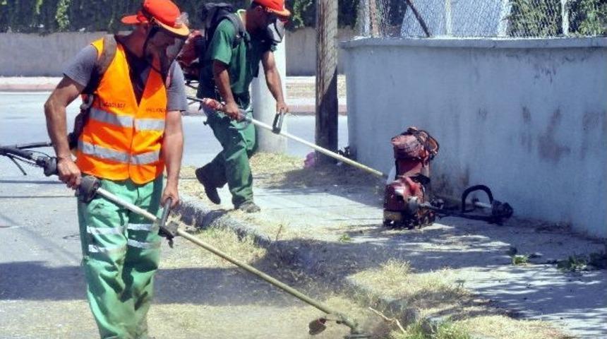 Akdeniz'de Temizlik Kampanyası Devam Ediyor