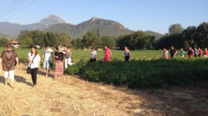 Fethiye Lezzetlerini Tanıtacak 32 Kişilik Ekip Arazide &Ccedil;alışmaya Başladı