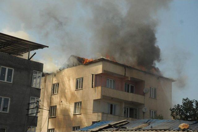 'Yangın Yok' Diye Itfaiyeyi Gönderip 5 Dakika Sonra Geri Çağırdılar