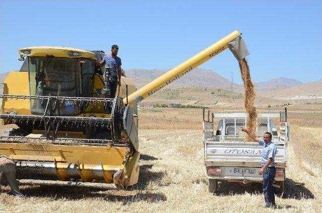 Elbistan'da Biçerdöverleri Denetledi