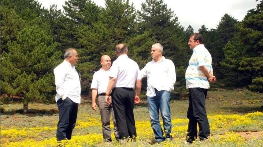 T&uuml;rkiye Kayak Federasyonu Başkanı Ayık, Muratdağı Termal Kayak Merkezi'nde İncelemelerde Bulundu