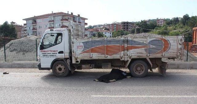 Kamyon altında kalarak can verdi