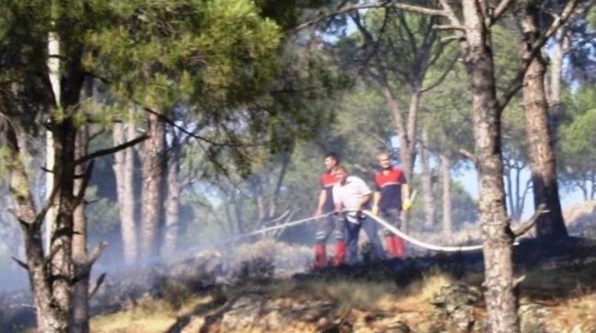 Ayvalık&rsquo;ta Orman Yangını B&uuml;y&uuml;meden S&ouml;nd&uuml;r&uuml;ld&uuml;