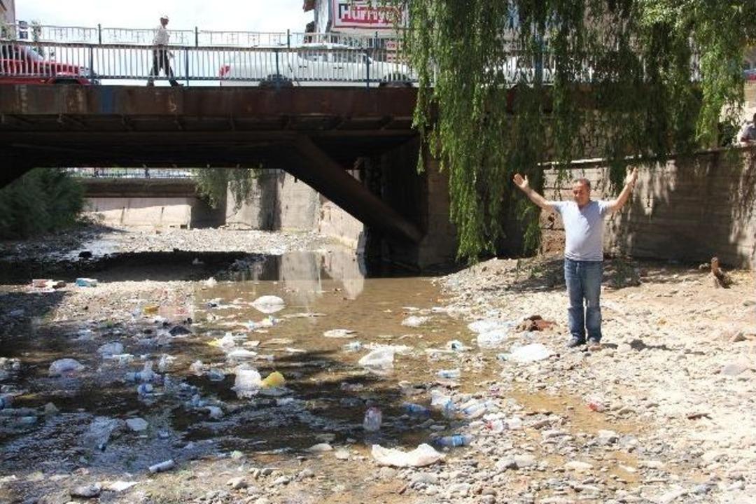 Evlerinin &Ouml;n&uuml;nde Oynayan &Ccedil;ocuğa Sibirya Kurdu Saldırdı