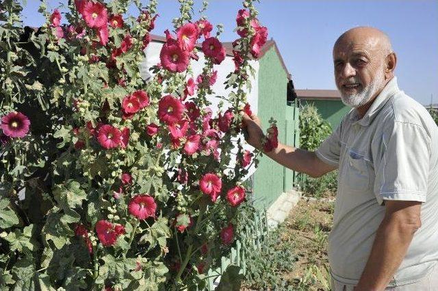 Karaman'da Vatandaşlar Huzur Bahçelerini Sevdi