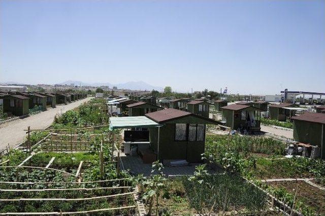 Karaman'da Vatandaşlar Huzur Bahçelerini Sevdi