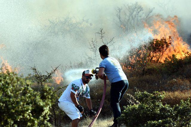 Bodrum'da çıkan yangın, yazlık siteleri tehdit etti