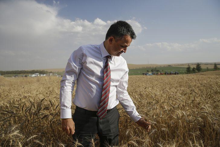 68. Hasat Bayramı G2