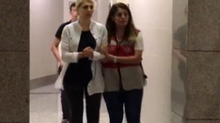 Gece yarısı işlemleri devam eden kedicikler adliye koridorlarında görüntülendi