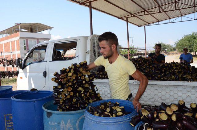 Patlıcanı kurutup, ihraç ediyorlar