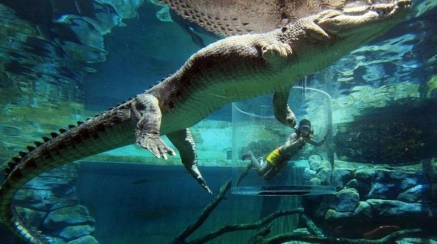 &Ouml;l&uuml;m kafesi!