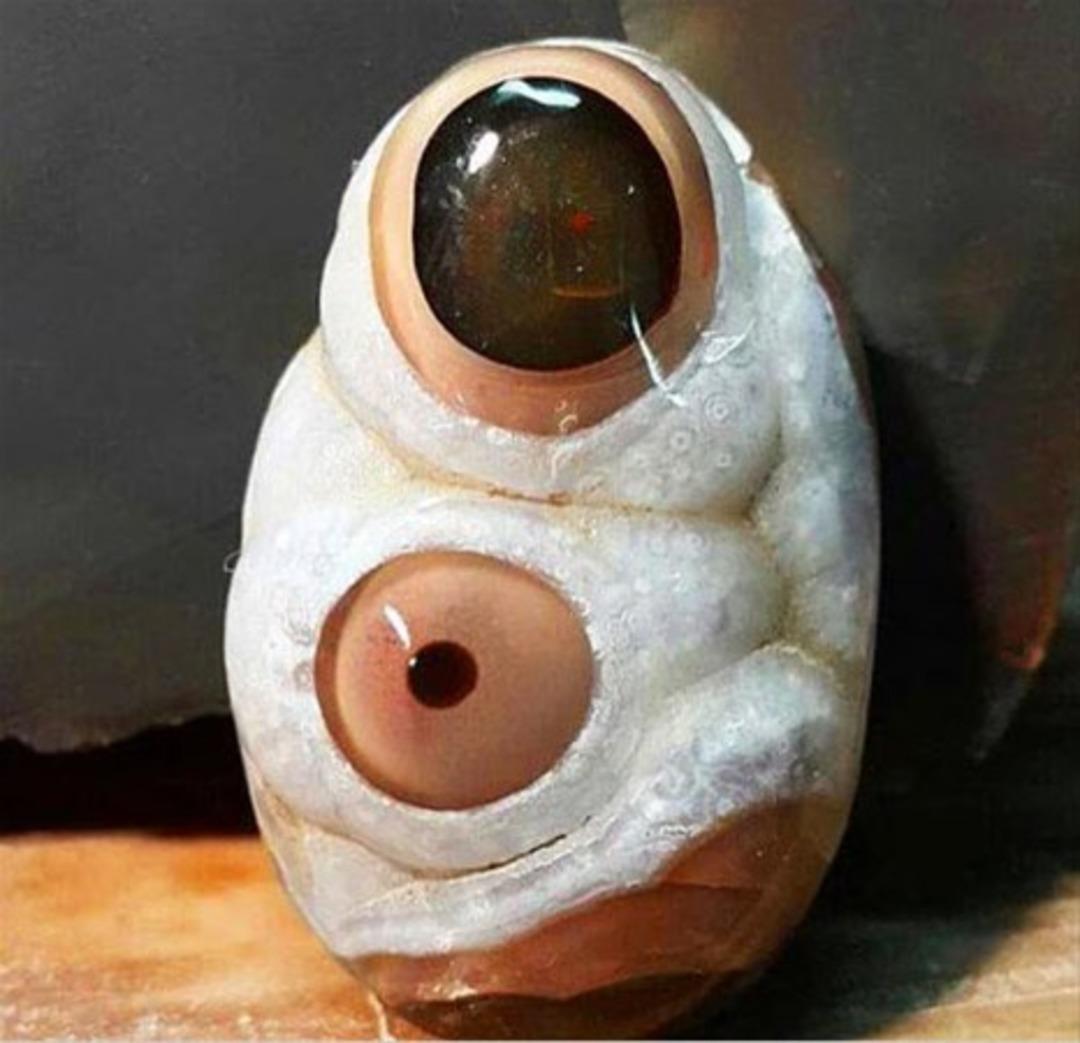 Yok artık dedirten d&uuml;nyanın en ilgin&ccedil; fotoğrafları 