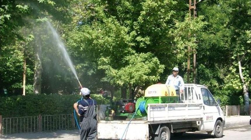 Haşerelerle Etkin M&uuml;cadele Başlatıldı