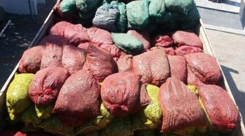 Bursa’da Jandarmadan Kaçak Midye Operasyonu