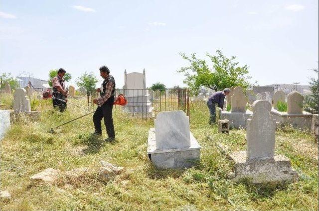 Besni’de Mezarlıklar Yabani Otlardan Temizlendi