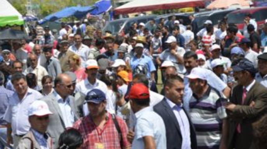 Festivallere ilgi azaldı!