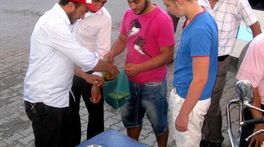 Araban’da Meyan Şerbetine Büyük İlgi