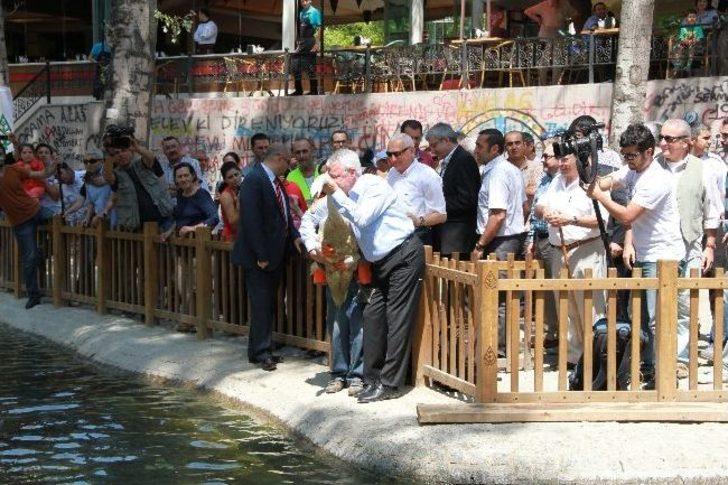 Gazdan Etkilenen Kuğular Yuvalarına Döndü G2