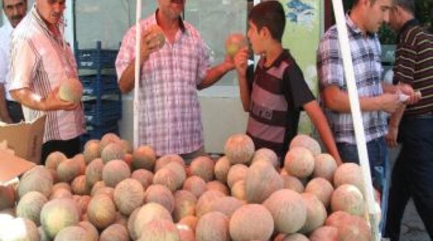 Siirt&rsquo;e &Ouml;zg&uuml; &lsquo;şimmam Salıho&rsquo; Kavunları Piyasaya &Ccedil;ıktı