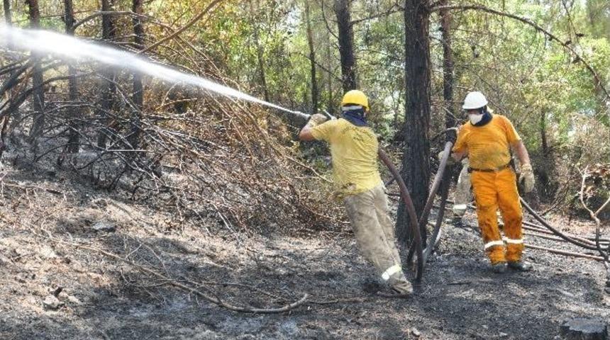 Alanya'daki Yangın Söndürüldü