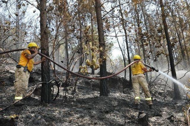 Alanya'daki Yangın Söndürüldü