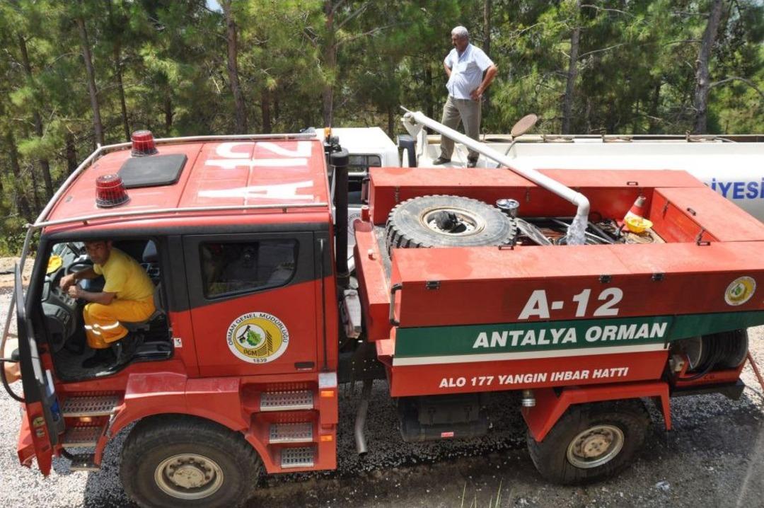 Alanya'da 3 D&ouml;n&uuml;m Ormanlık Alan K&uuml;l Oldu
