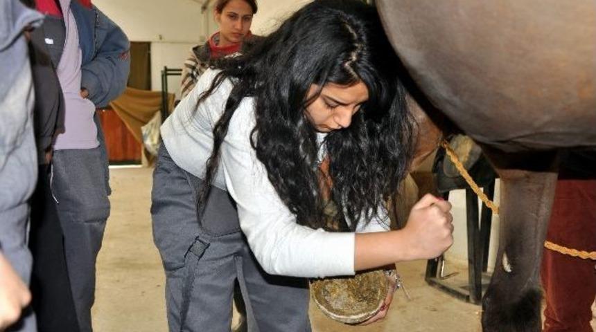 Esog&uuml; Mahmudiye Meslek Y&uuml;ksekokulu At&ccedil;ılık Ve Antren&ouml;rl&uuml;ğ&uuml; B&ouml;l&uuml;m&uuml; 5. D&ouml;nem Mezunlarını Verdi