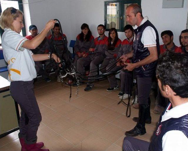 Esogü Mahmudiye Meslek Yüksekokulu Atçılık Ve Antrenörlüğü Bölümü 5. Dönem Mezunlarını Verdi