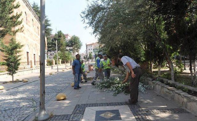 Cemalettin K&ouml;kl&uuml; Parkı&rsquo;nda Temizlik &Ccedil;alışmaları 1